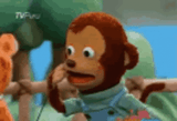 Monke Surprised