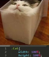 catbox