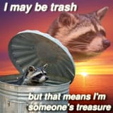 raccoon-memes-instagram-624ae8c78c21d__700