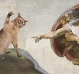 creation-slap-v0-cymu4mkyjy7d1