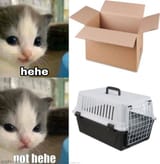 o89fzo6hjji81