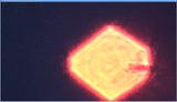 1732262385112889