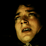 frodo-frodon