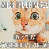 syncat