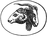 87458_persia-and-macedonia_lg