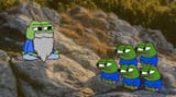 apu wise teaching