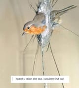 Thread 40590163 OP Image