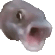 fish-omg