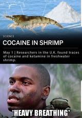 EBonpfa