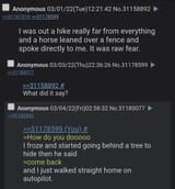 Talking Horse