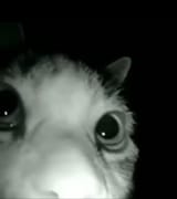 Are You Afraid Of The Dark