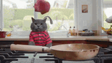 anon-cat