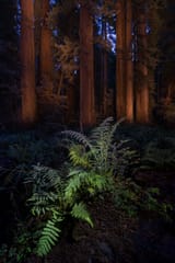 IMG_0007