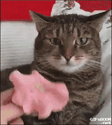 when_you