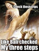 Trivikrama trips