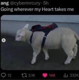 tkme