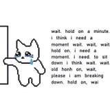 hol hodl on