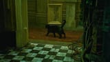 Thread 40598294 OP Image
