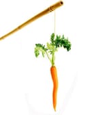 carrot-on-a-stick1
