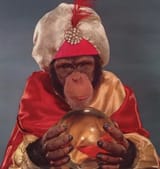 psychic-monkey