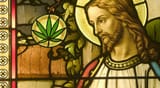 Kannabosm