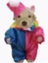 clowny_little_boy