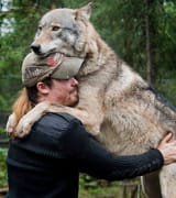 CWOkAEdUAAAQ6tL