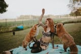 save-a-foxy-lady