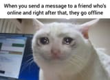 funny-meme-pictures-ppzthb74p3b686b9