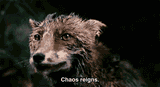 giphy