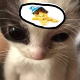 245345342345