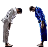 judo bow