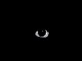 Thread 40604109 OP Image