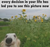 1747341779148839