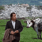 john-travolta-vache