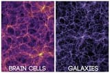 cosmic consciousness