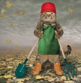beige-cat-gardener-red-cap-apron-boots-holds-shovel-garden-pitchfork-autumn-park-cat-shovel-194216592