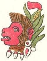 Ozomahtli