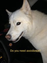 1720834253433589