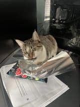 i-thought-aluminum-foil-deterred-cats-v0-hg9rluk2h99e1