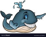 happywhale