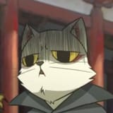 cat101