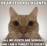 dear federal agents majority of my posts are silly but my pizza posts are serious