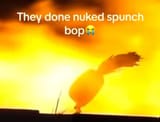 Sperg Boob