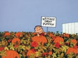 Great-Pumpkin-Linus