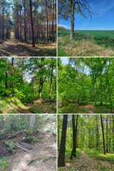 20250626_214211-COLLAGE