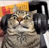 Wub wub wub wub 