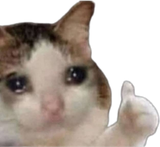 Sallgud