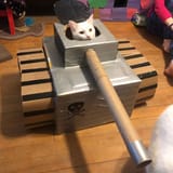 quarantined-owners-build-cardboard-cat-tanks-5eaa74c91a38c__700