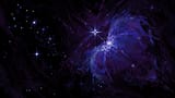 bafkreifx33342lkkw2cwbnne3rz4lrfr7ghcazzrhzvvt77rgyxodgv5du (1)